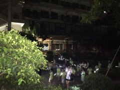 ̤��������������ػ�����The Amazon Jungle Morning 