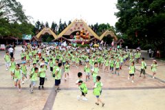   ɭ��Ұ����������̽��֮��