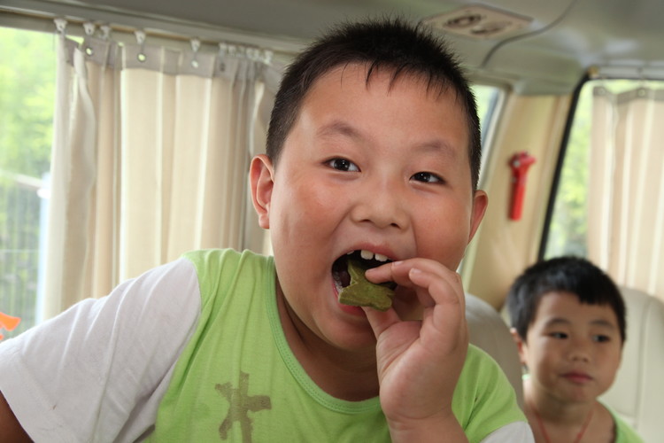 ��һ����(�й�)�ٷ���վ-Bsports