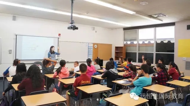 必一体育(中国)官方网站-Bsports