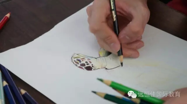 必一体育(中国)官方网站-Bsports