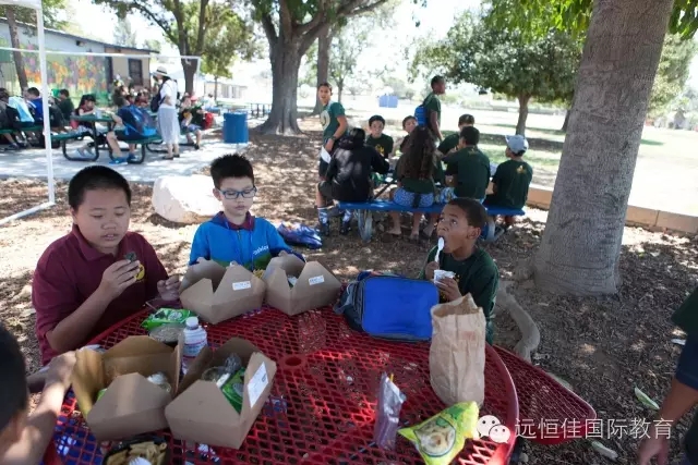 必一体育(中国)官方网站-Bsports