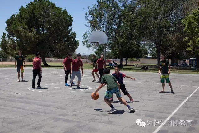 必一体育(中国)官方网站-Bsports