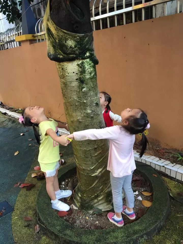 ��һ����(�й�)�ٷ���վ-Bsports