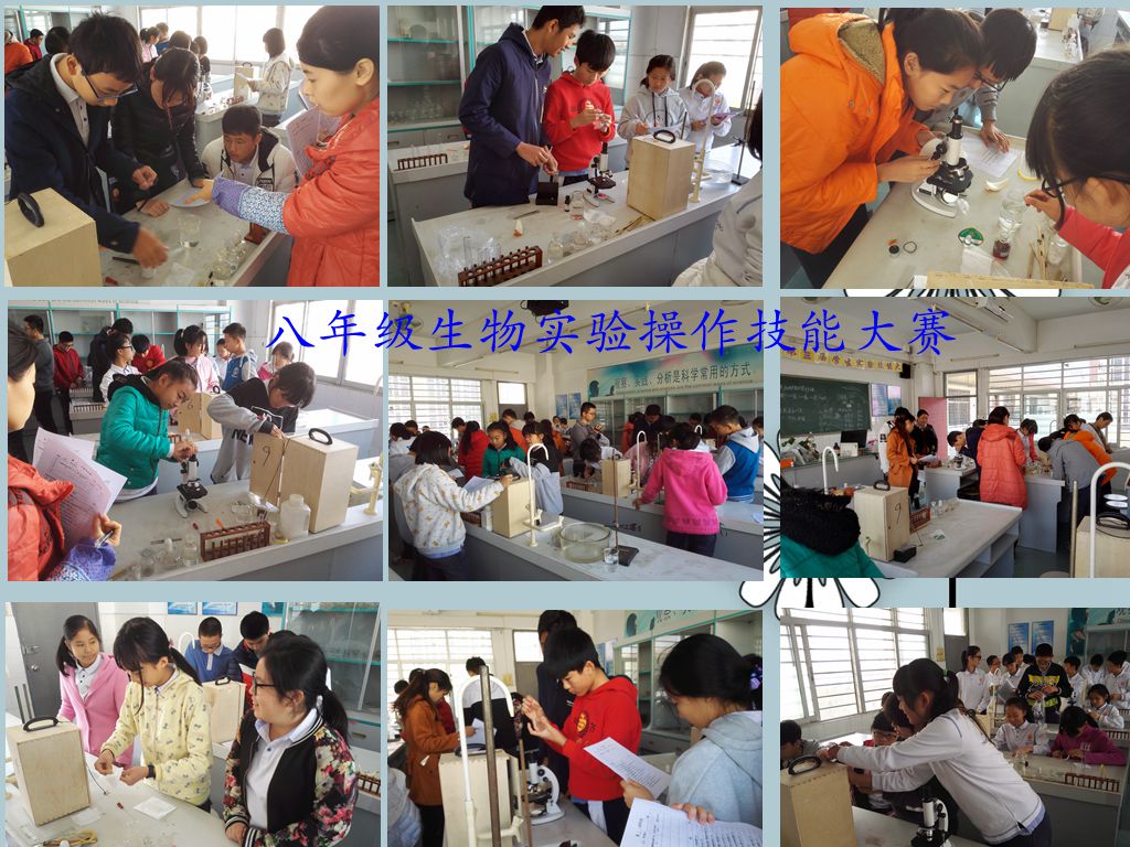 ��һ����(�й�)�ٷ���վ-Bsports