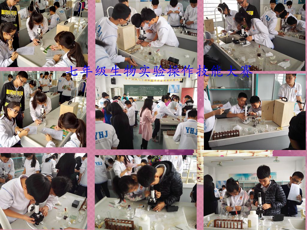 ��һ����(�й�)�ٷ���վ-Bsports