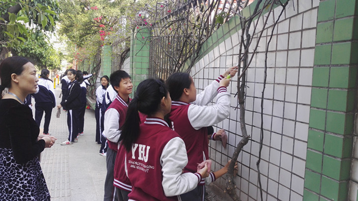 ��һ����(�й�)�ٷ���վ-Bsports