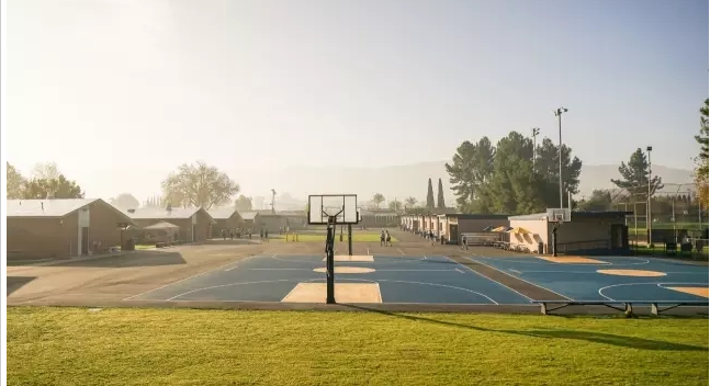 ��һ����(�й�)�ٷ���վ-Bsports