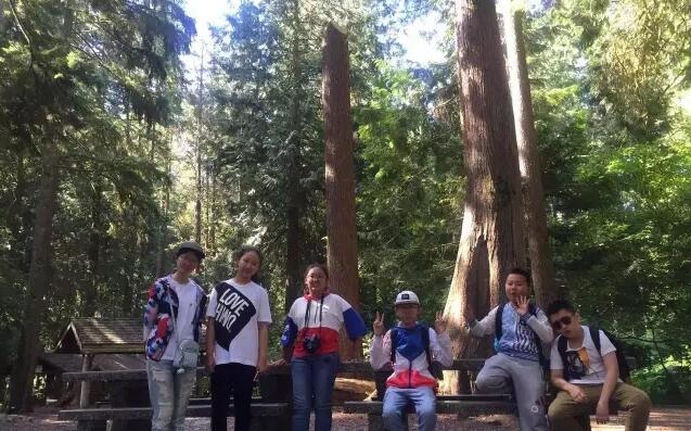 ��һ����(�й�)�ٷ���վ-Bsports