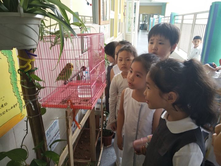 ��һ����������٭