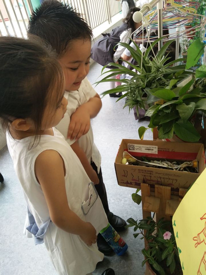 ��һ����(�й�)�ٷ���վ-Bsports