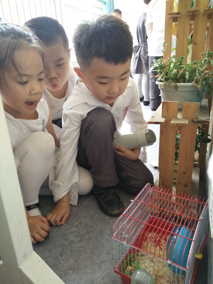 ��һ����(�й�)�ٷ���վ-Bsports