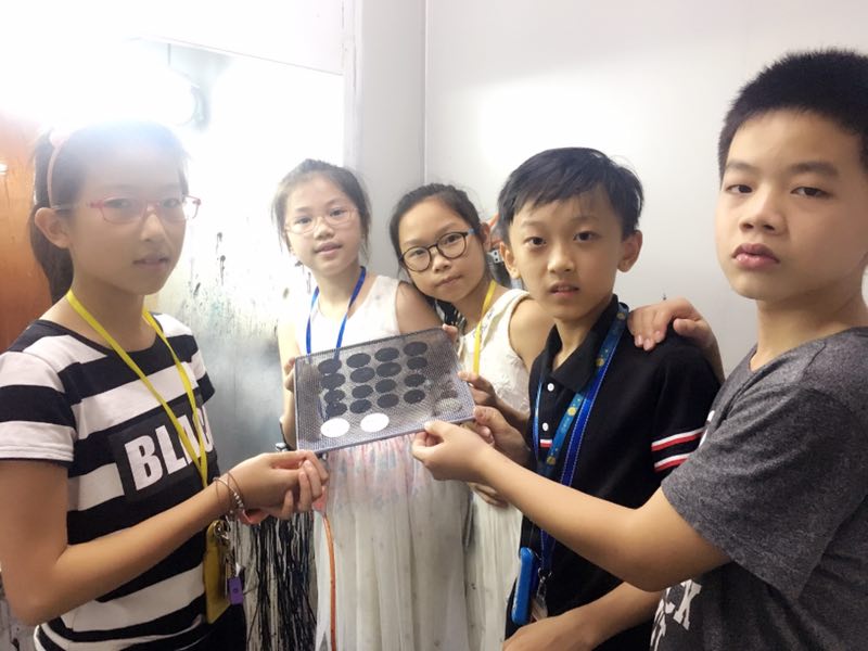 ѧϰ������������������������֮�� ������A�ڶ�С��ְҵ����С��