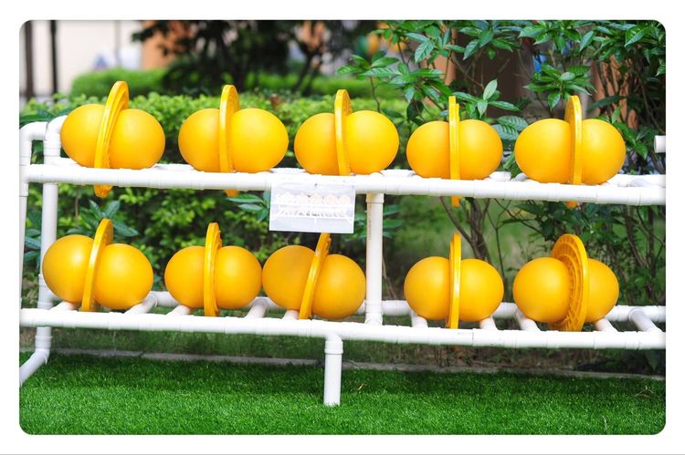 ��һ����(�й�)�ٷ���վ-Bsports