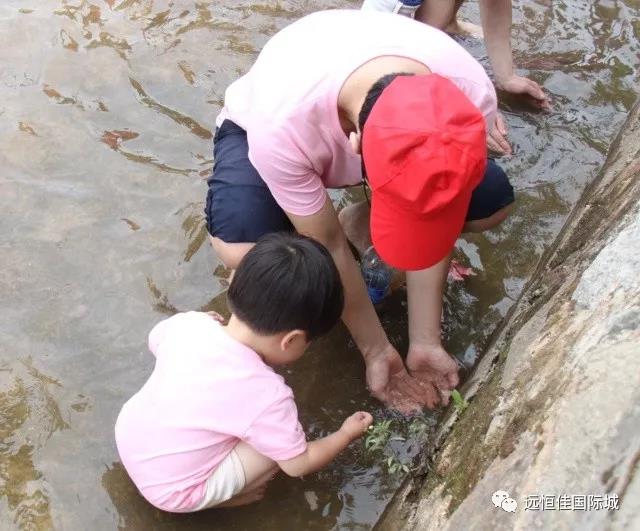 ��һ����(�й�)�ٷ���վ-Bsports