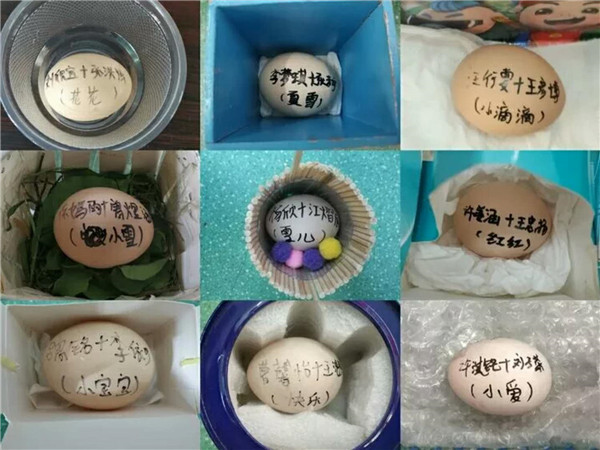 ��һ����(�й�)�ٷ���վ-Bsports