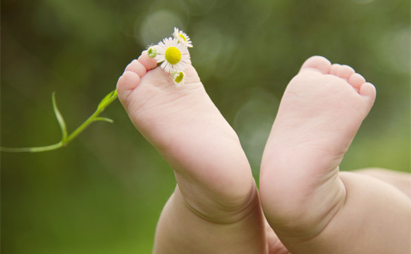 ���ļ���͵Ϯ�����������翴��Ԥ��