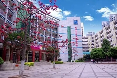 2017-2018��ѧ��ѧ������֮˼��-������չС�໯��ѧ��������