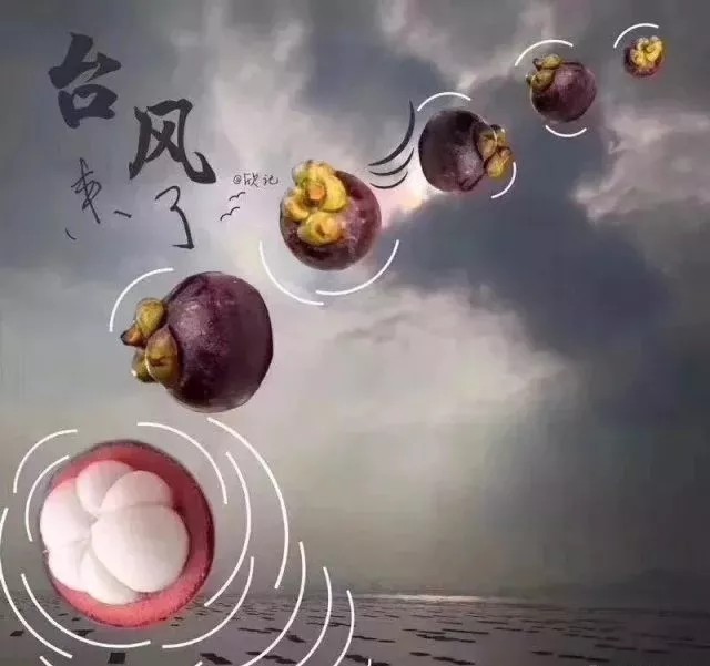 ̨��������������������Ӧ��̨�硰ɽ���������������Ž�һ��������