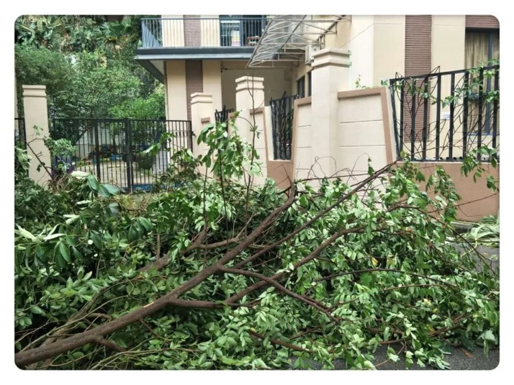 ��һ����(�й�)�ٷ���վ-Bsports