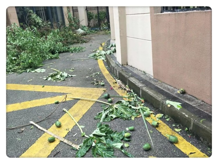 ��һ����(�й�)�ٷ���վ-Bsports