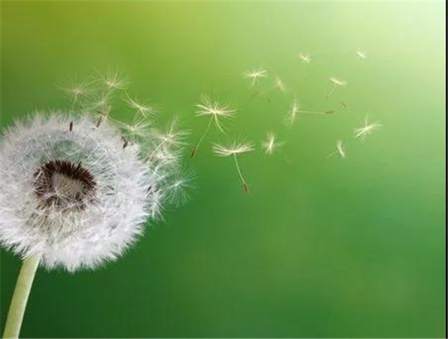 ��һ����(�й�)�ٷ���վ-Bsports