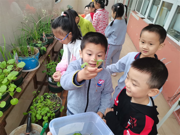 ���Ĺ�֮����������           