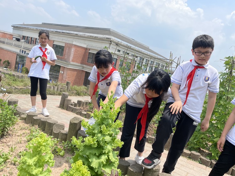 ����ѧ��|��Ȥ��������ҹ