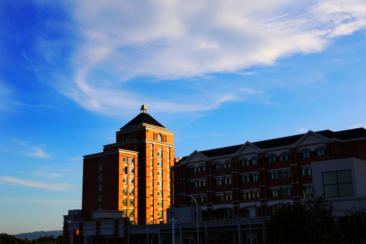 ��һ����(�й�)�ٷ���վ-Bsports