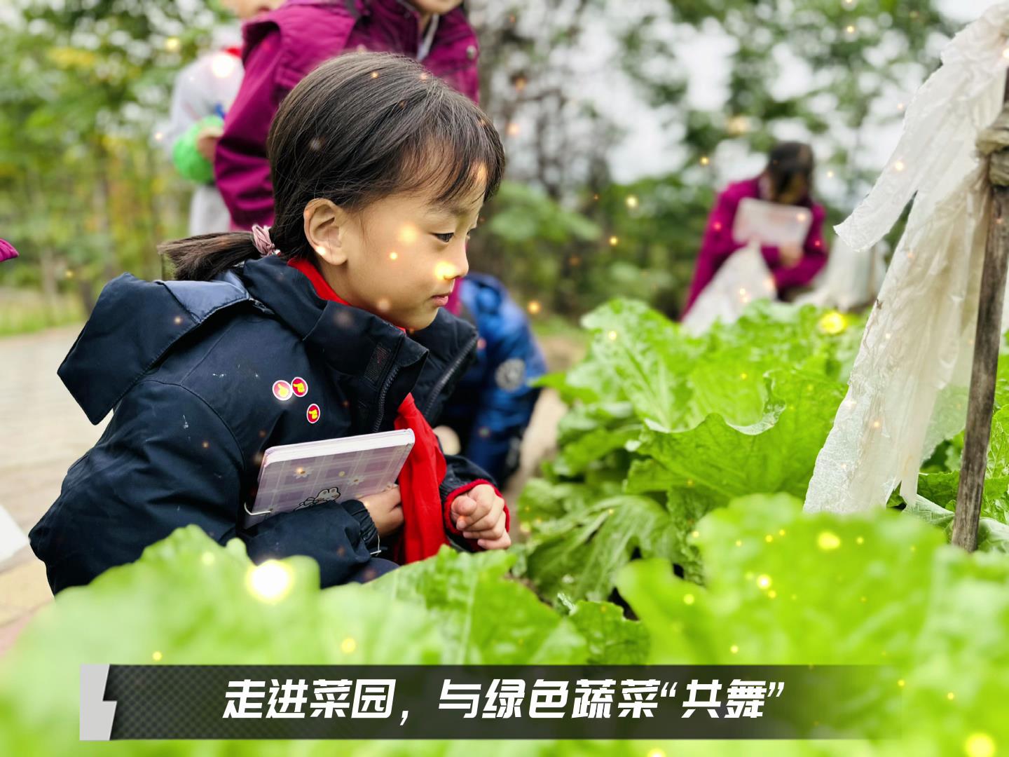 ����ѧУ|��Уʱ�⣬���߳����ã�������ɫ�߲˹���