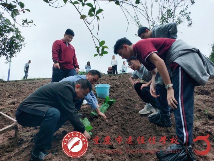 ��������|�������Ͷ� �����ڿγ̡�������һ�꼶����ʳ���γ�֮ݪֲƪ